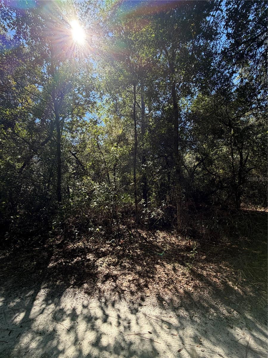TBD SW 151ST PLACE, Dunnellon, FL 34432