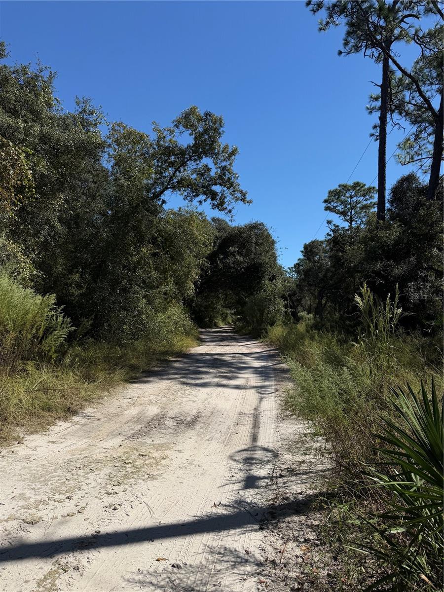 TBD SW 151ST PLACE, Dunnellon, FL 34432