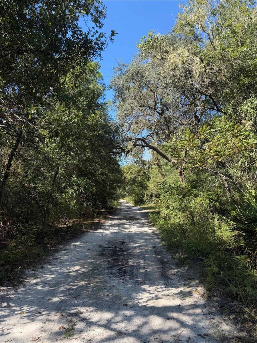 TBD SW 151ST PLACE, Dunnellon, FL 34432