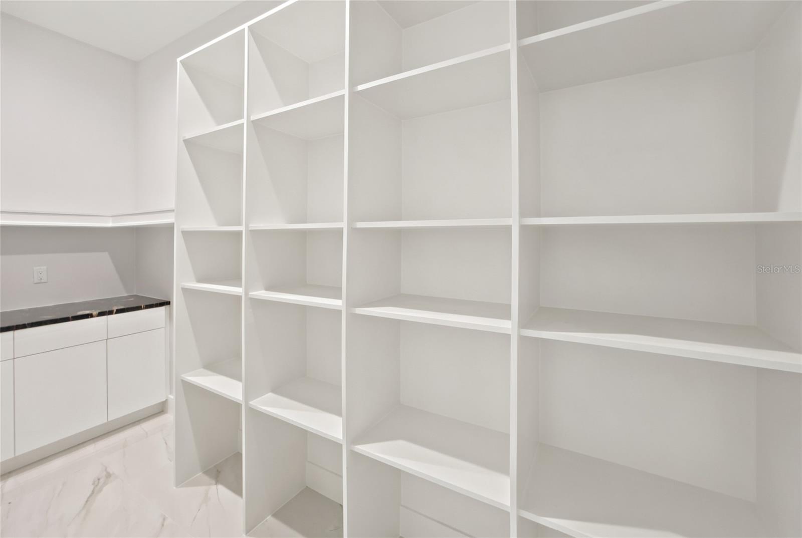 Hidden Walk-in Pantry