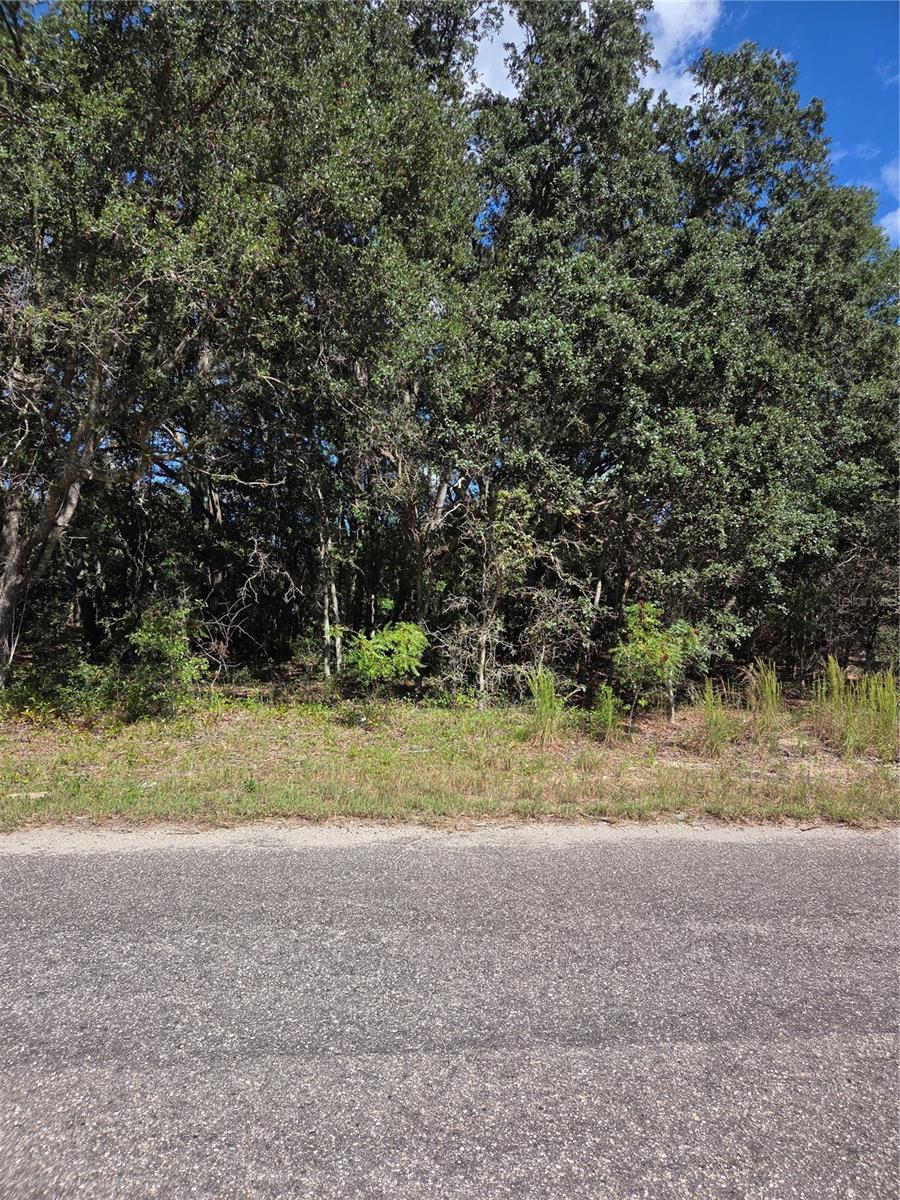 115 STREET ROAD, Ocklawaha, FL 32179