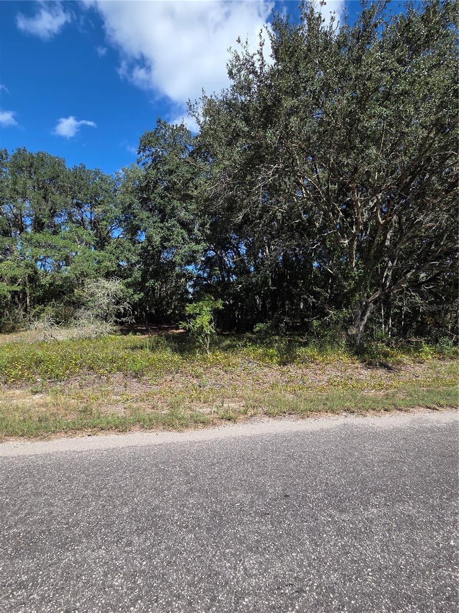 115 STREET ROAD, Ocklawaha, FL 32179