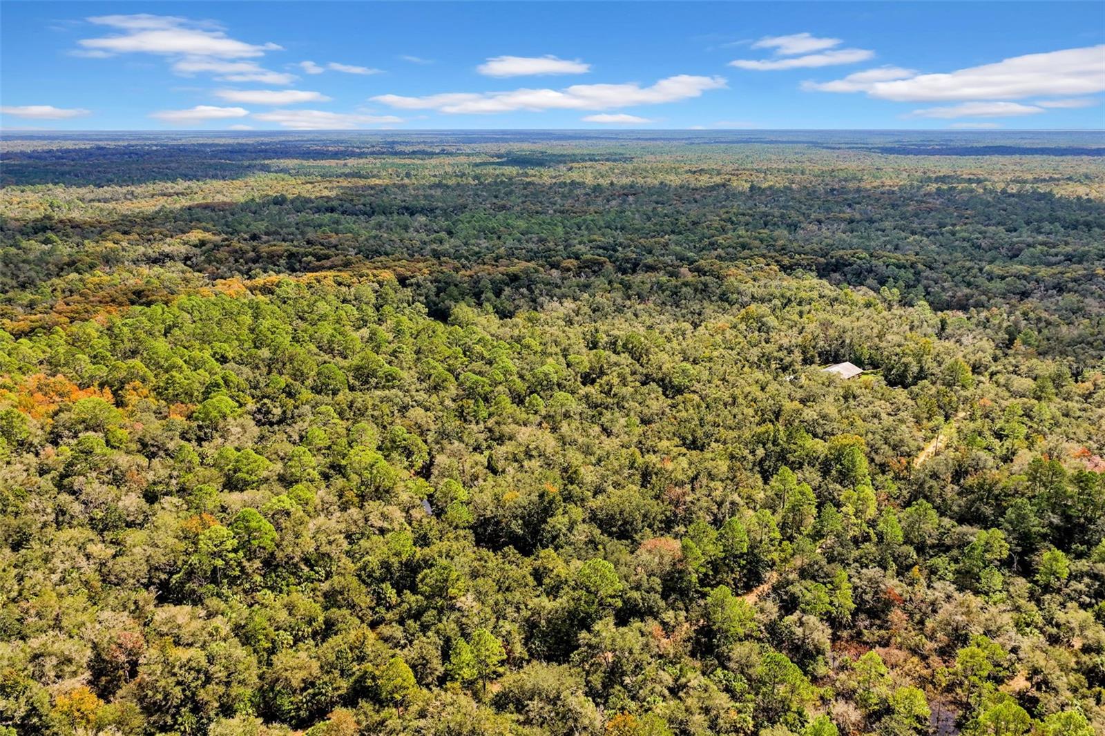 122 Tract SW BUCK TRAIL RD, Chiefland, FL 32626