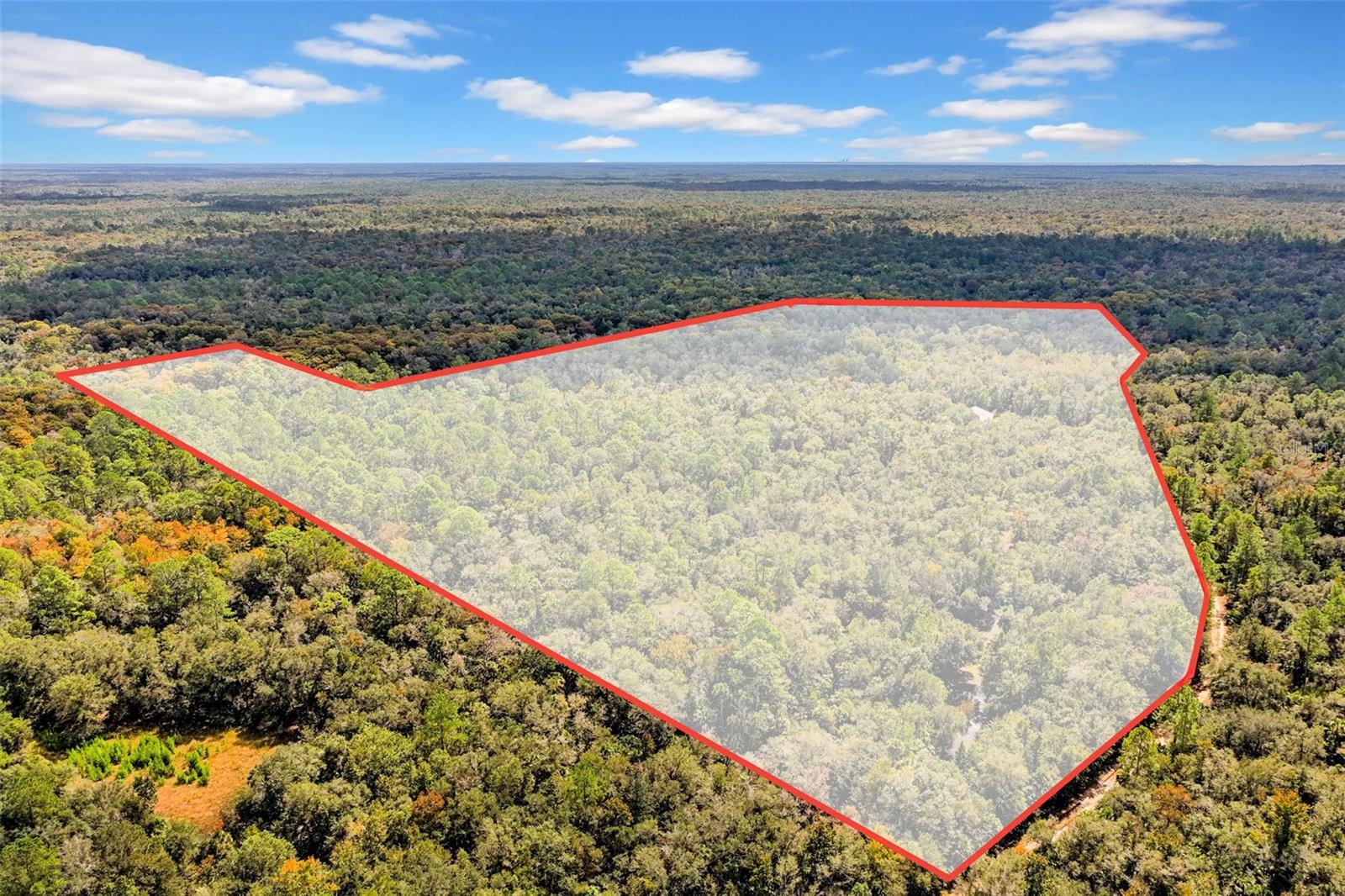 122 Tract SW BUCK TRAIL RD, Chiefland, FL 32626