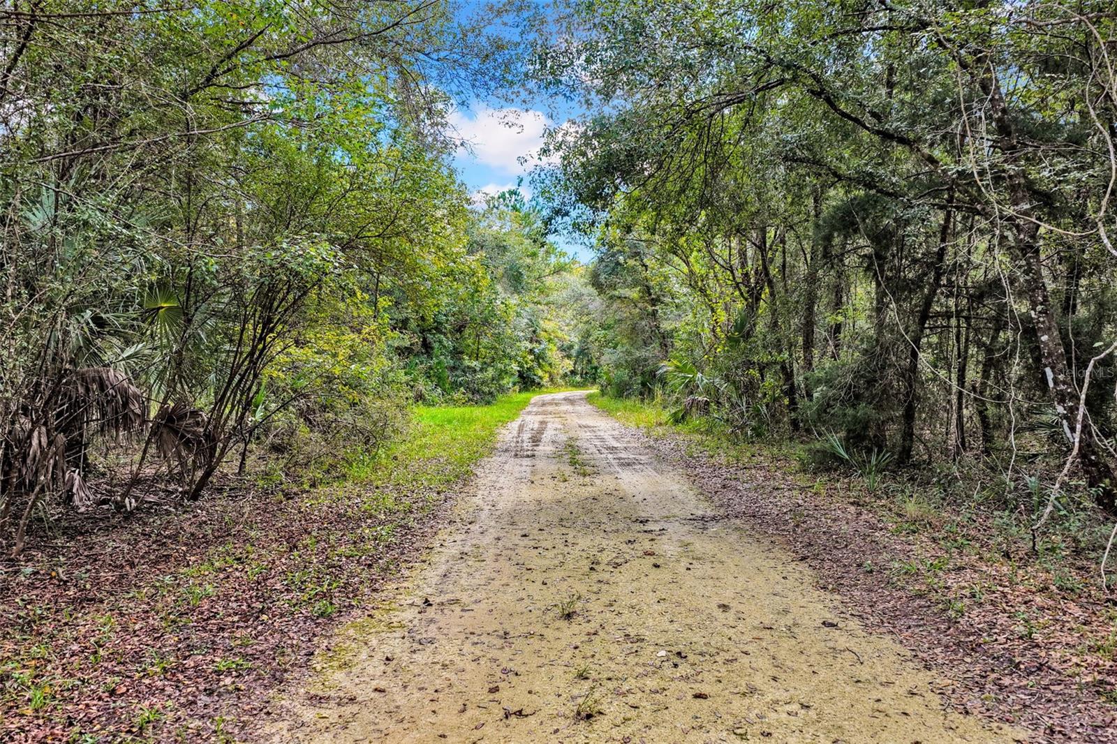 122 Tract SW BUCK TRAIL RD, Chiefland, FL 32626