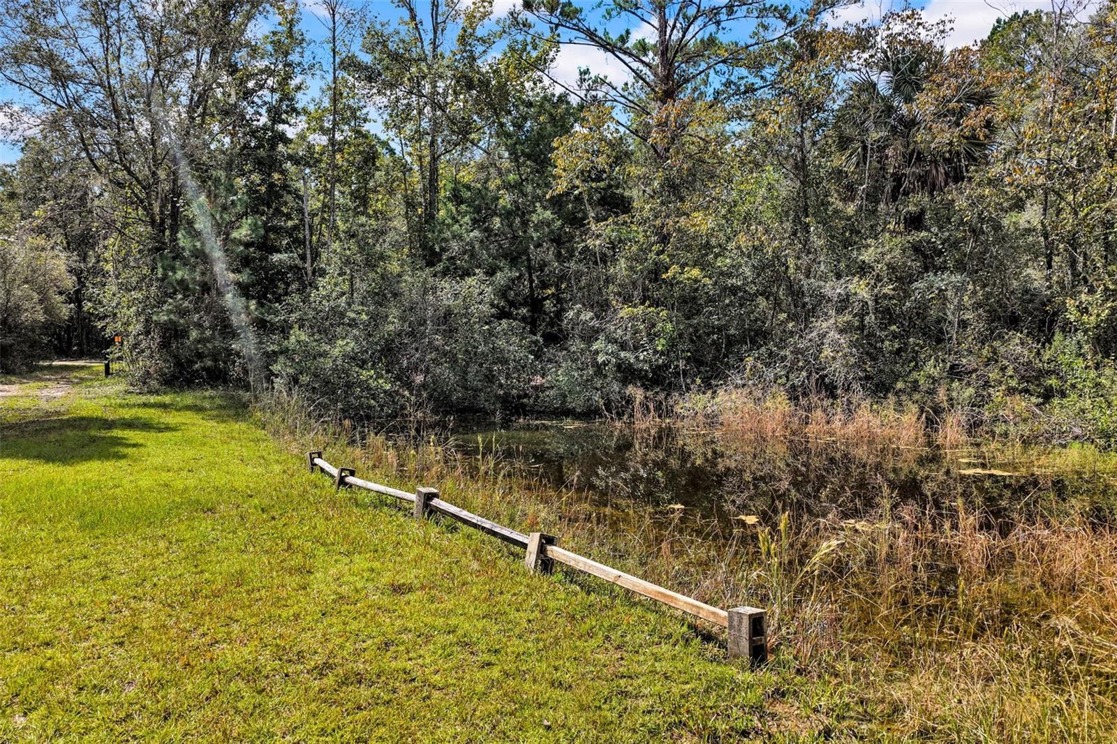122 Tract SW BUCK TRAIL RD, Chiefland, FL 32626