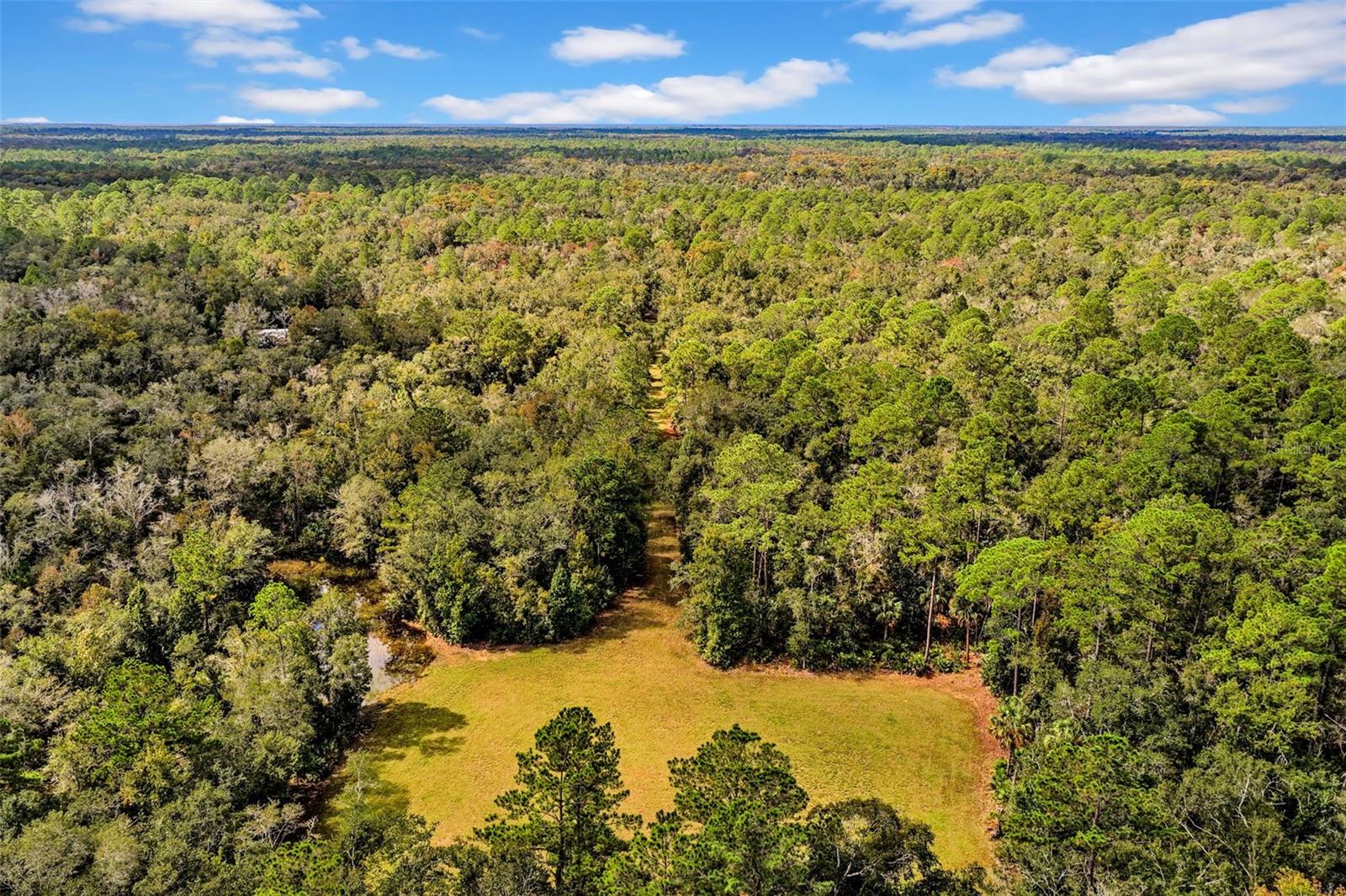 122 Tract SW BUCK TRAIL RD, Chiefland, FL 32626