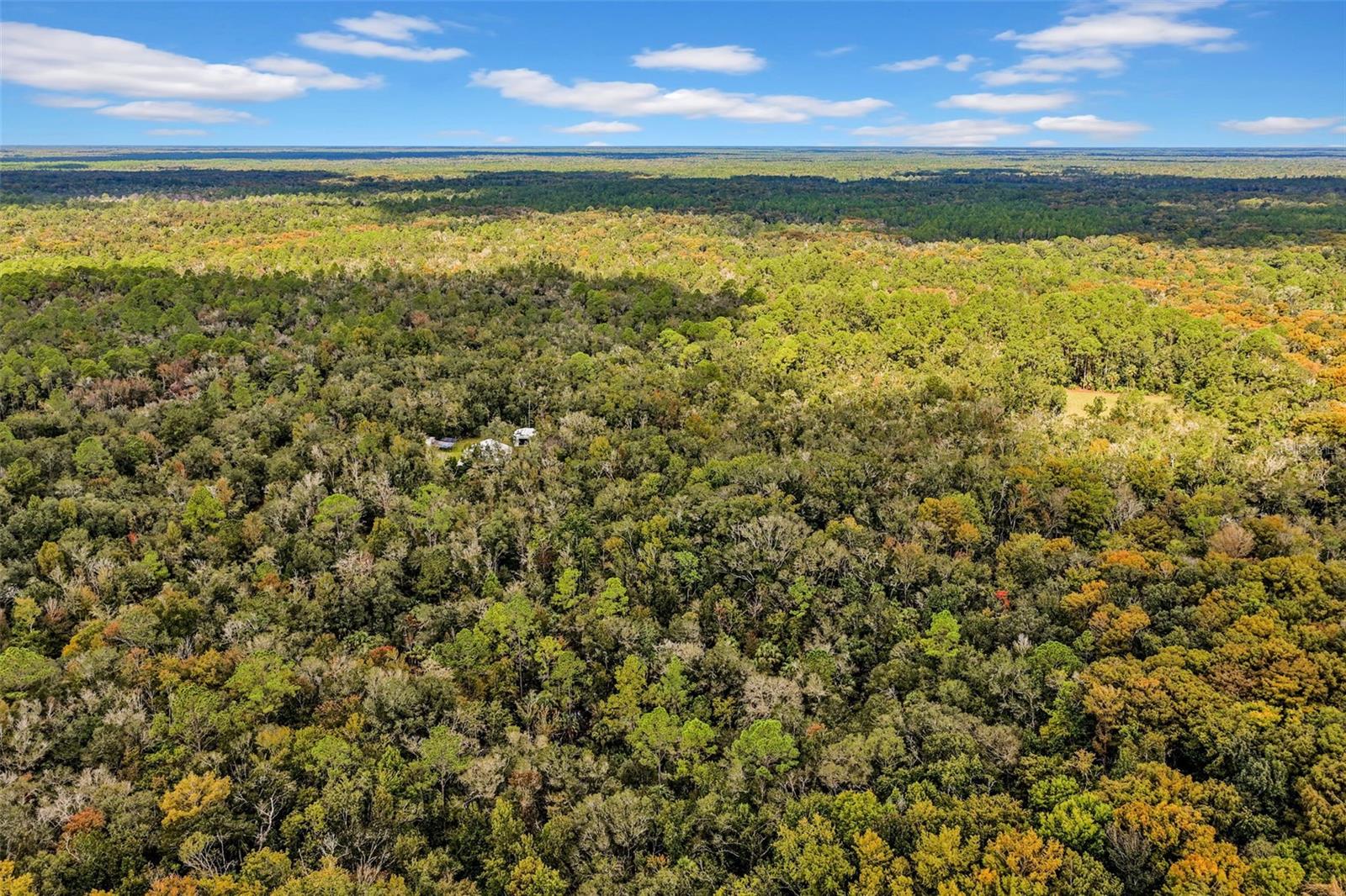 122 Tract SW BUCK TRAIL RD, Chiefland, FL 32626