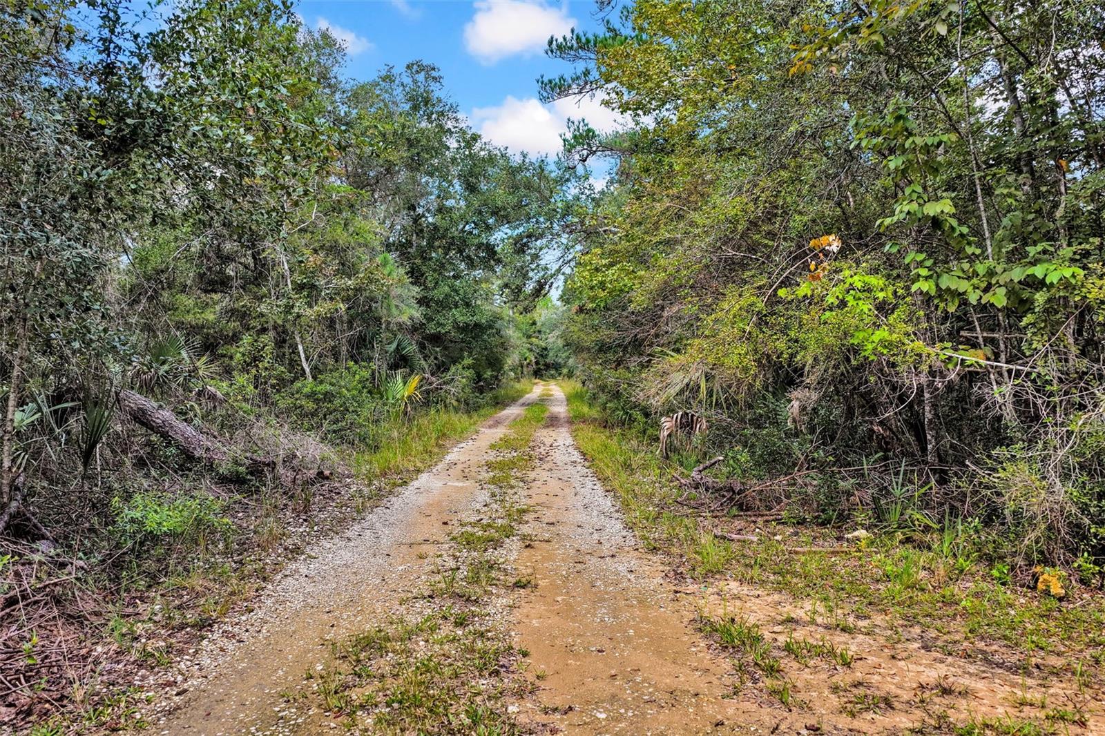 122 Tract SW BUCK TRAIL RD, Chiefland, FL 32626