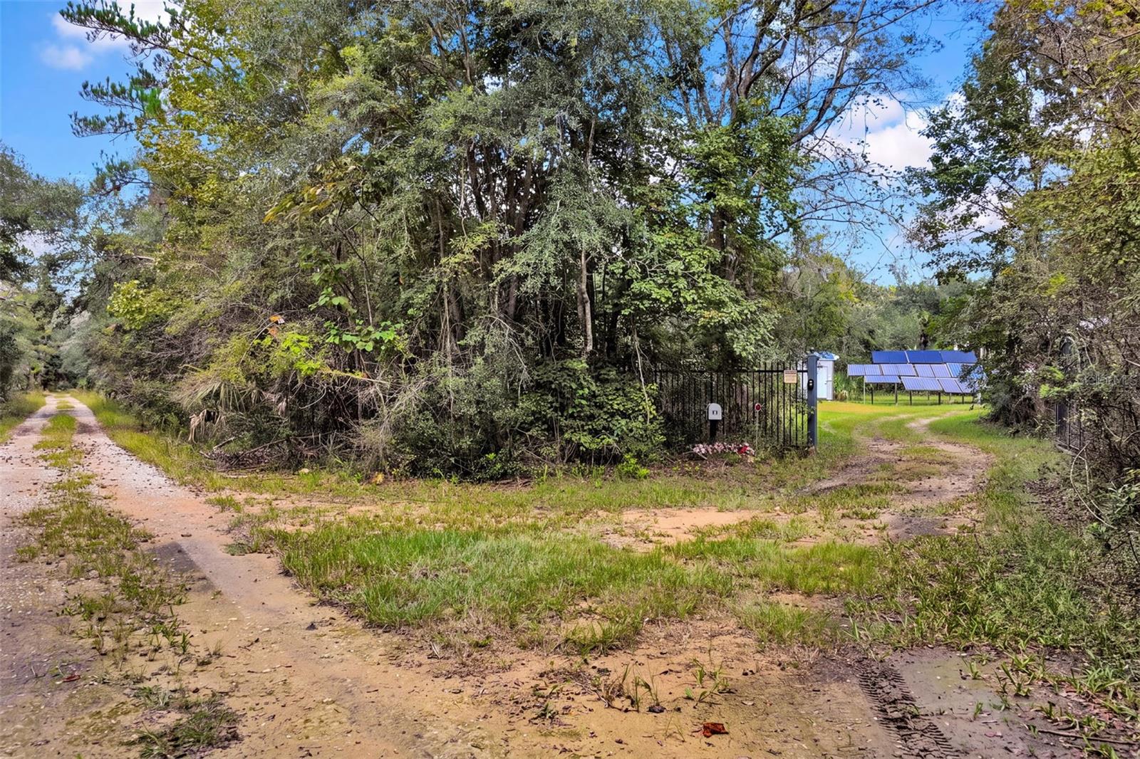 122 Tract SW BUCK TRAIL RD, Chiefland, FL 32626