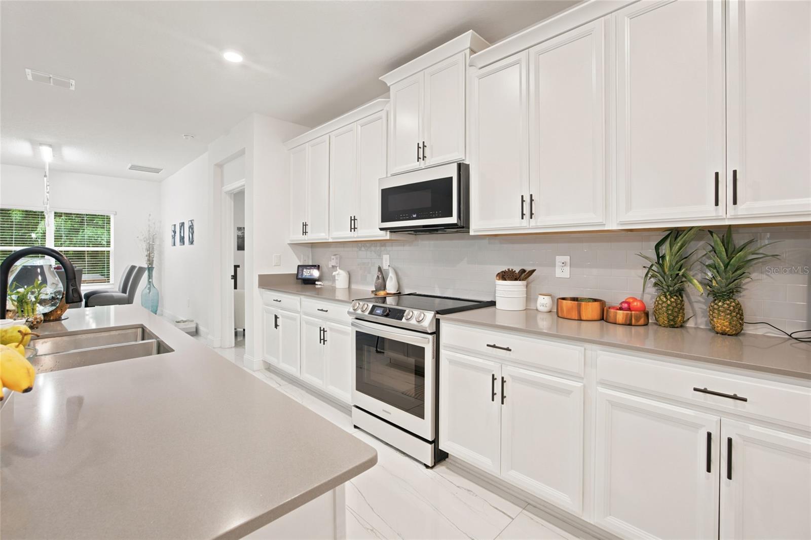 5773 TALC STREET, Mount Dora, FL 32757