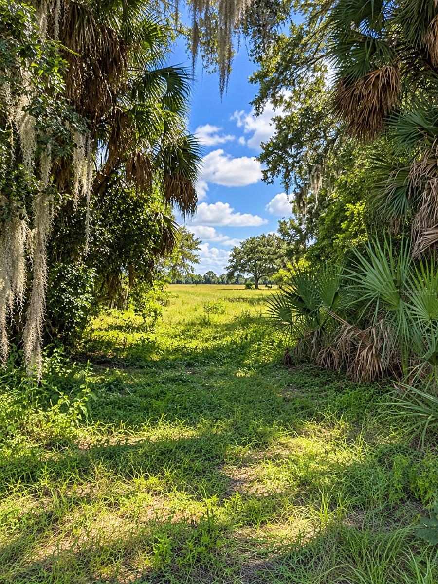 LAKE BURNS ROAD, Umatilla, FL 32784