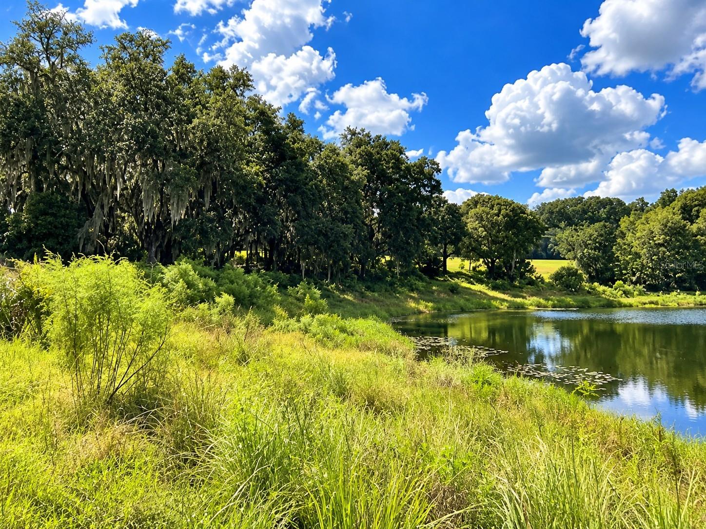 LAKE BURNS ROAD, Umatilla, FL 32784