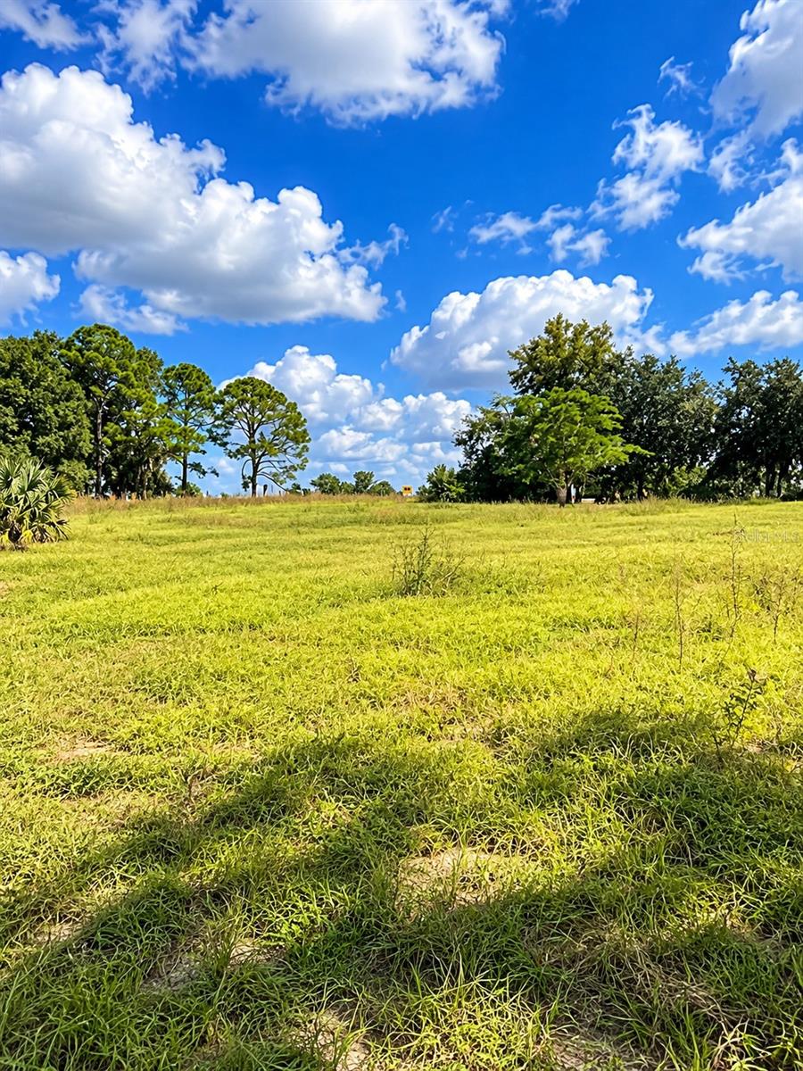 LAKE BURNS ROAD, Umatilla, FL 32784