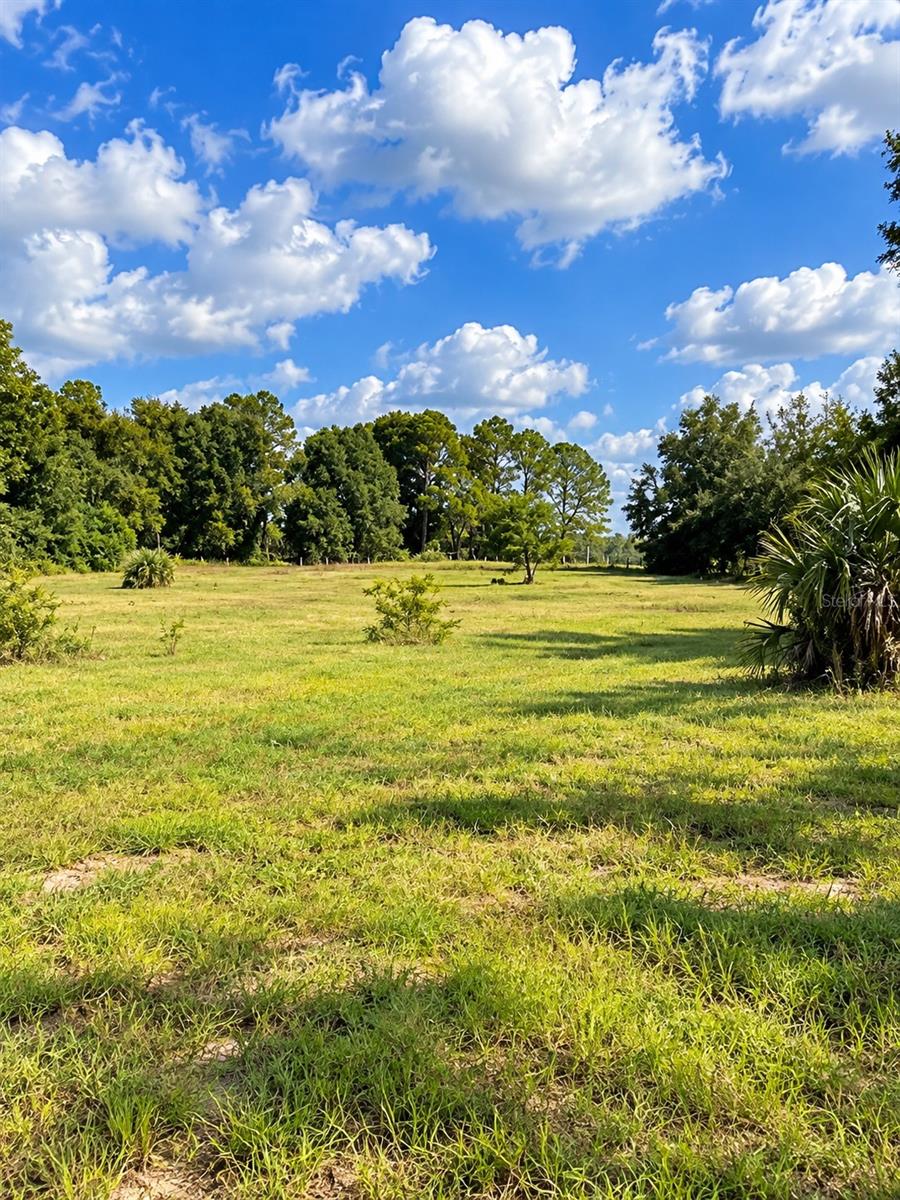LAKE BURNS ROAD, Umatilla, FL 32784