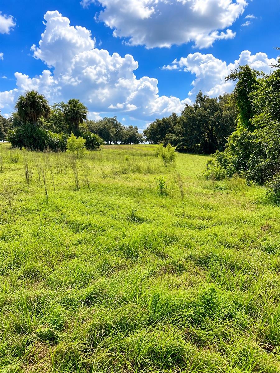 LAKE BURNS ROAD, Umatilla, FL 32784