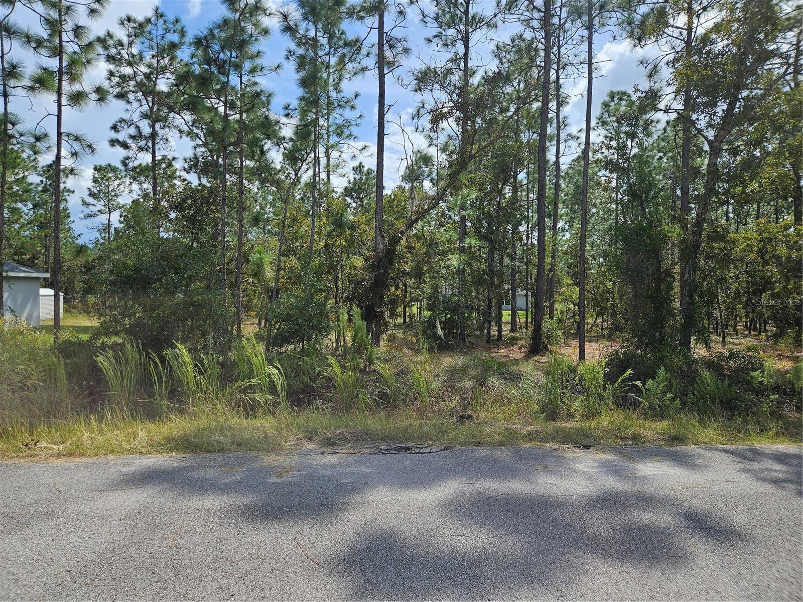 TBD NW TAMARIND LANE, Dunnellon, FL 34431 TBD NW TAMARIND LANE, Dunnellon, FL 34431