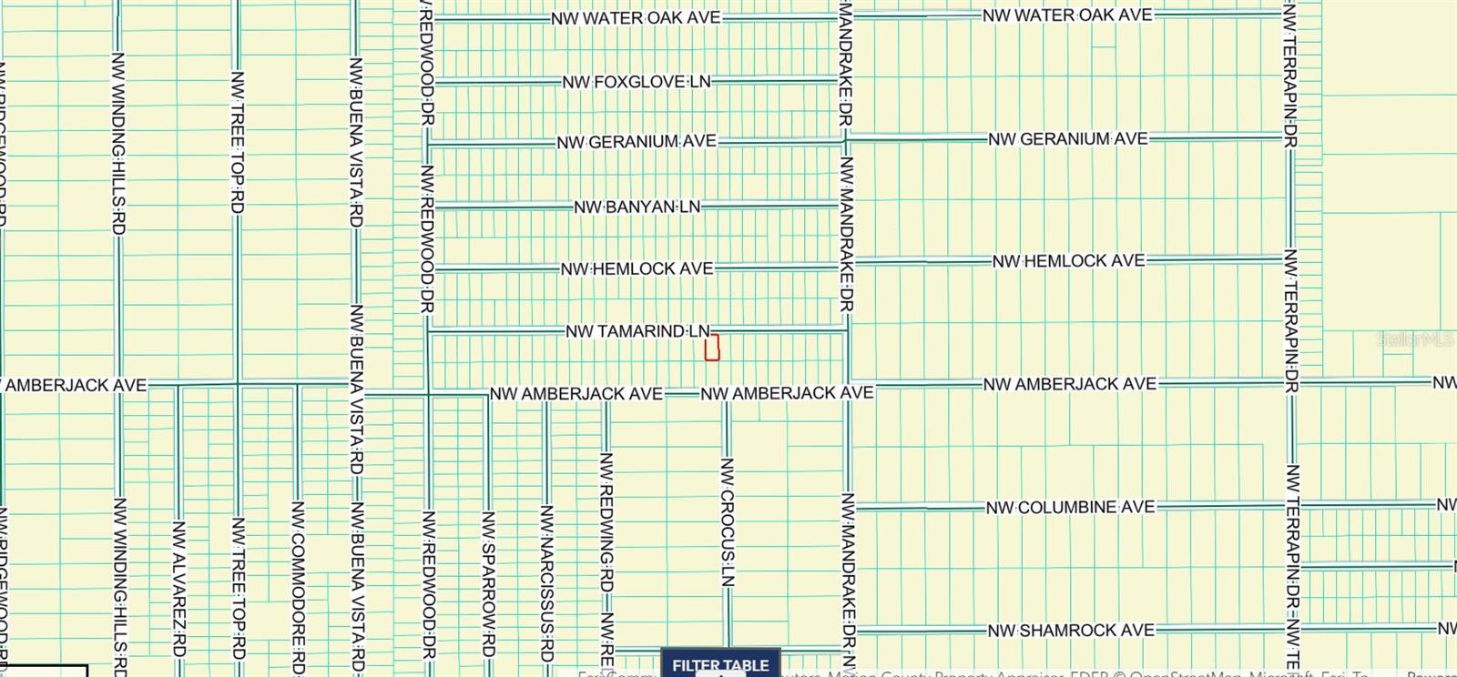 TBD NW TAMARIND LANE, Dunnellon, FL 34431