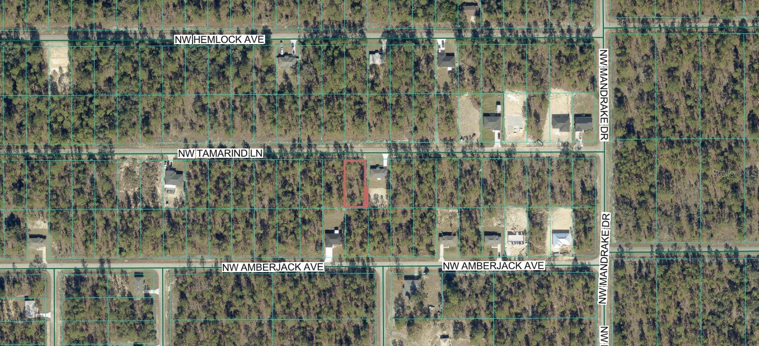 TBD NW TAMARIND LANE, Dunnellon, FL 34431