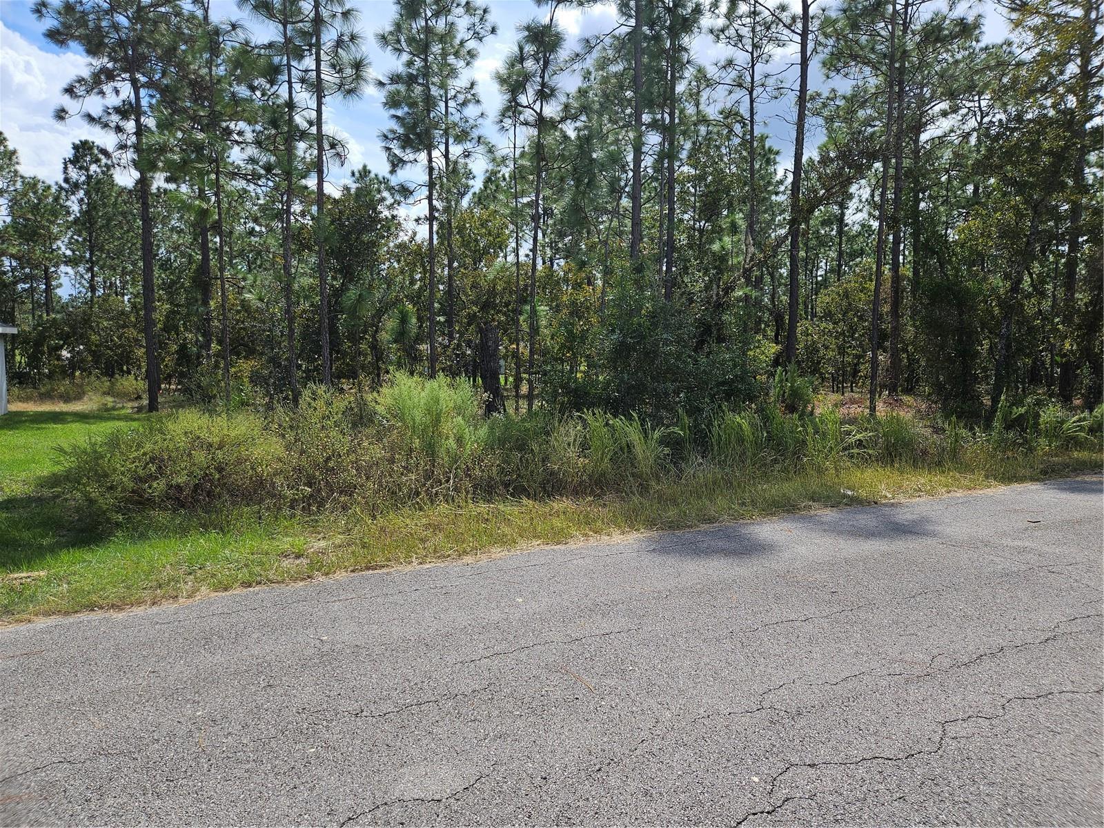 TBD NW TAMARIND LANE, Dunnellon, FL 34431