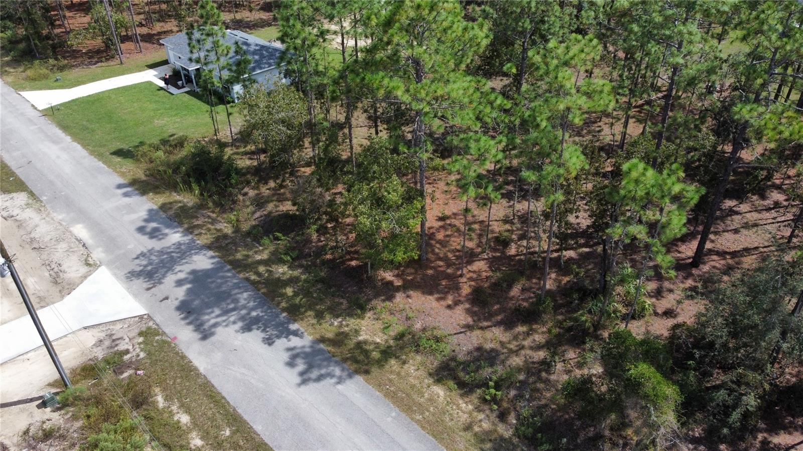 TBD NW TAMARIND LANE, Dunnellon, FL 34431