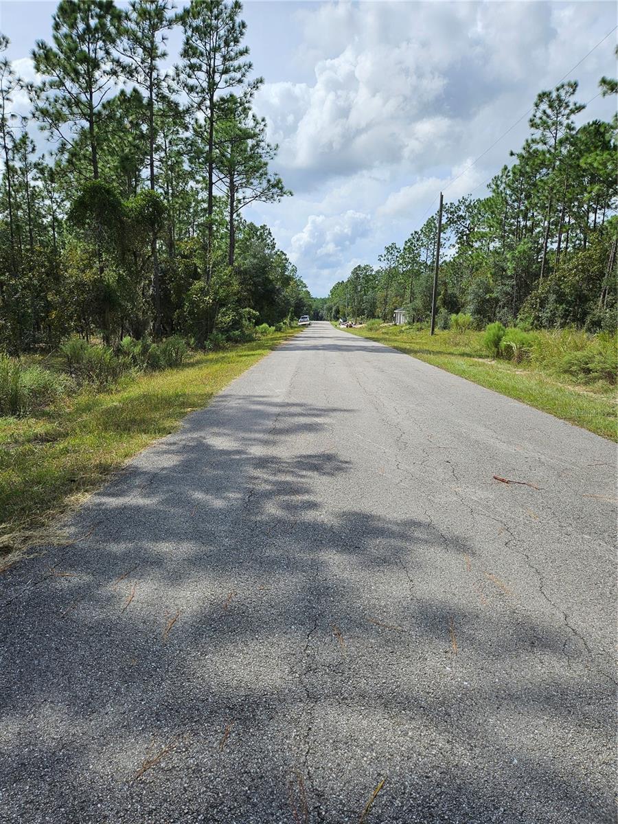 TBD NW TAMARIND LANE, Dunnellon, FL 34431