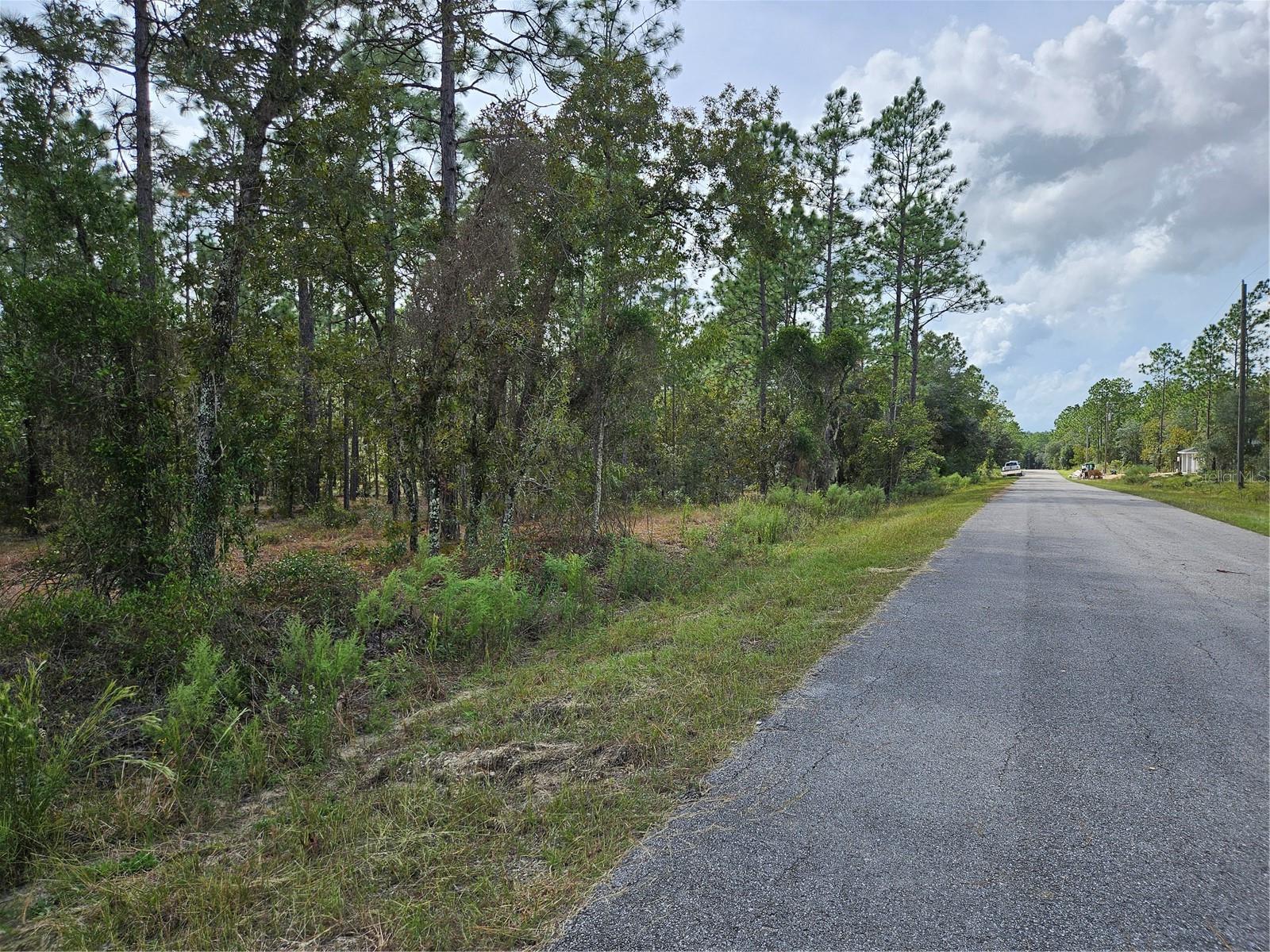 TBD NW TAMARIND LANE, Dunnellon, FL 34431