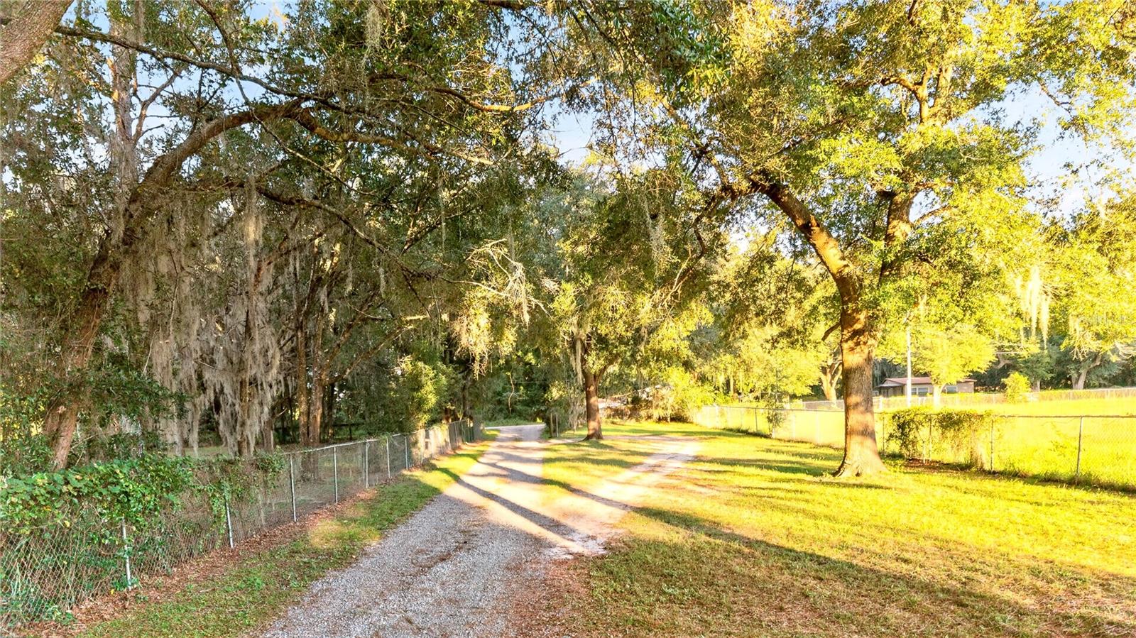 Driveway to Property