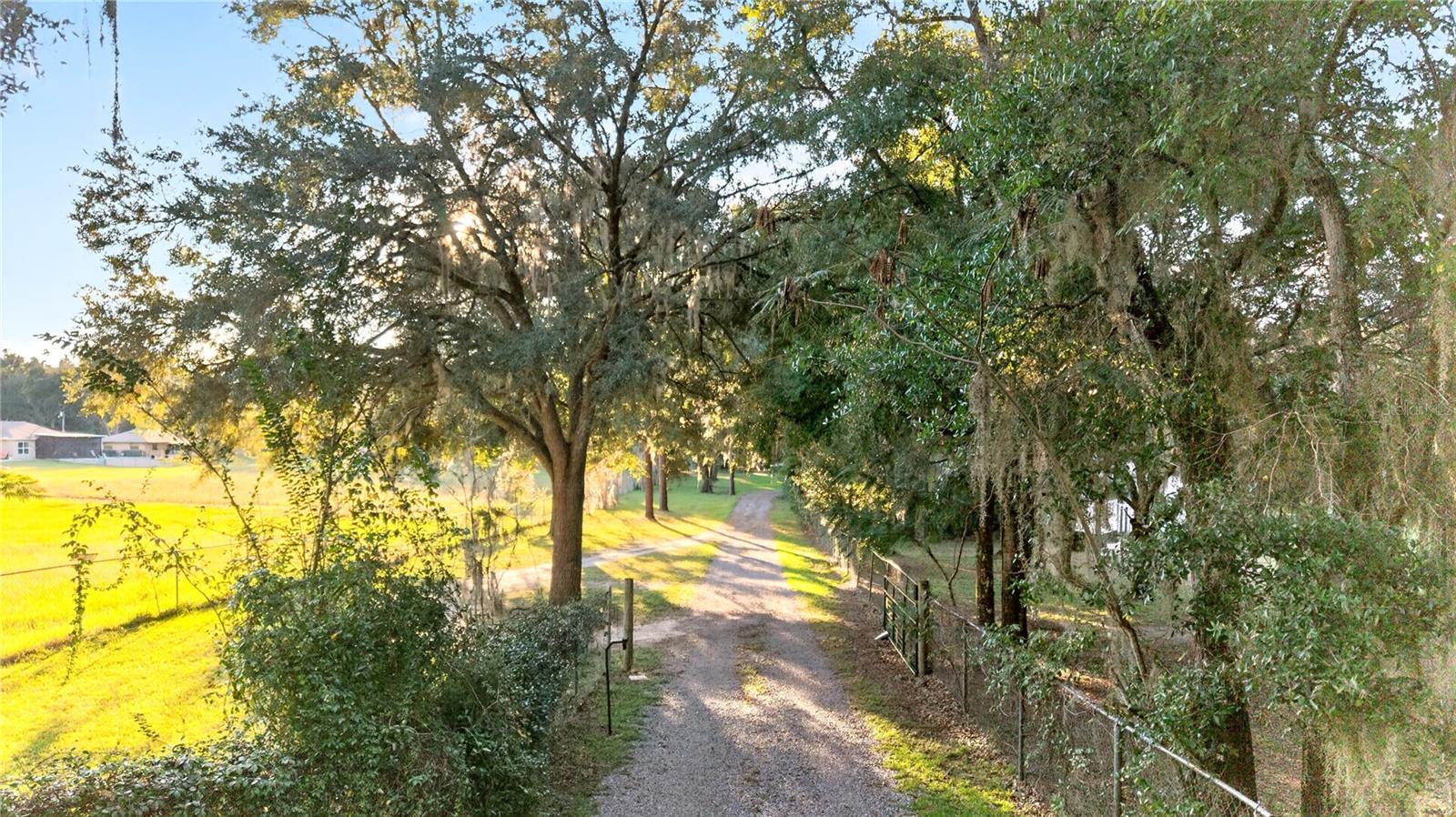 Driveway to Property
