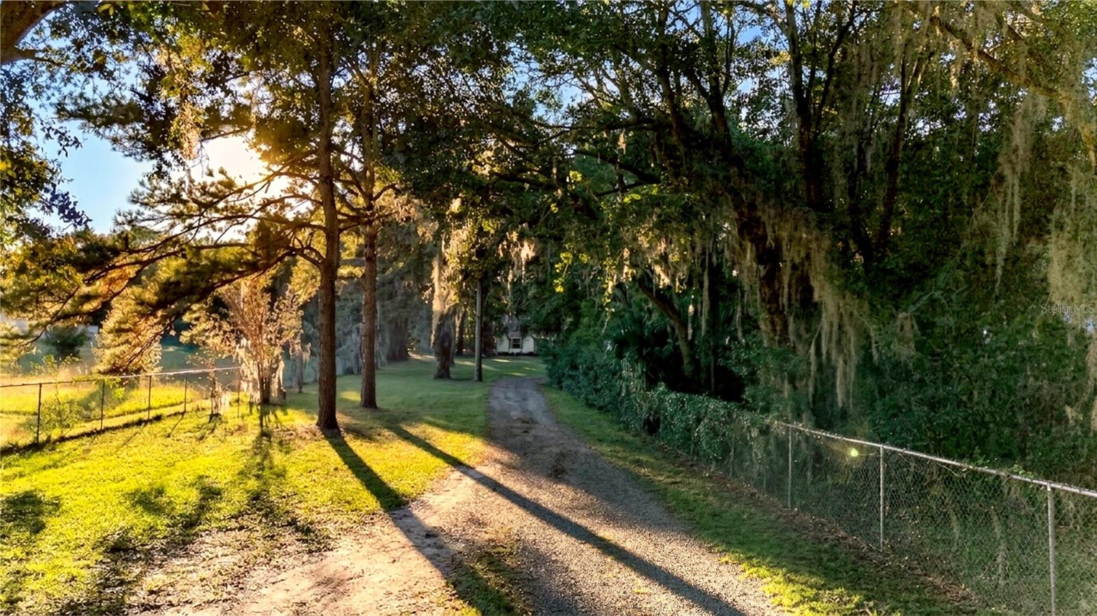 Driveway to Property