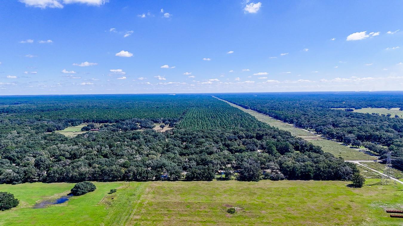 11980 SW 147TH PLACE, Dunnellon, FL 34432