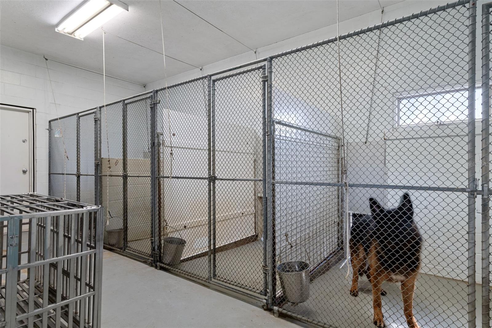 Kennel