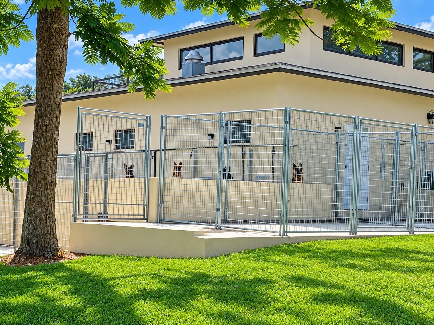 Exterior of Kennel