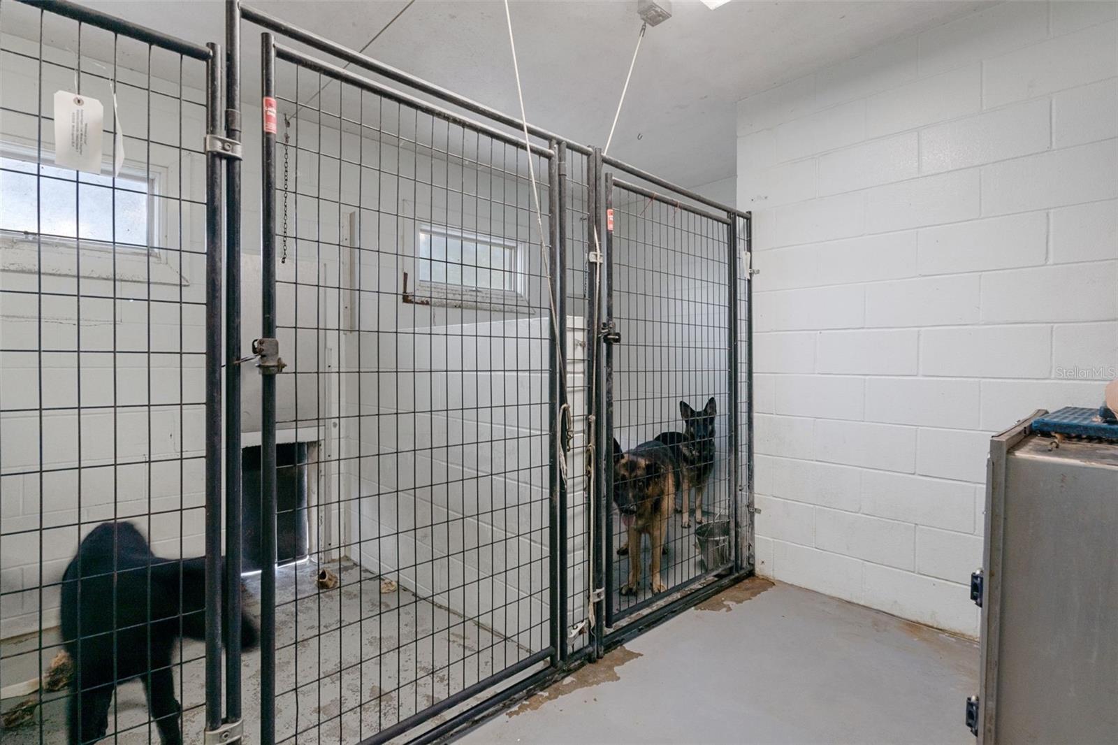 Kennel