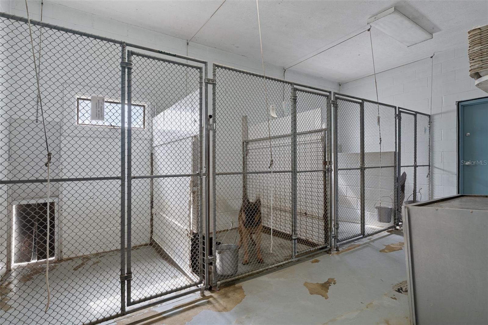 Kennel