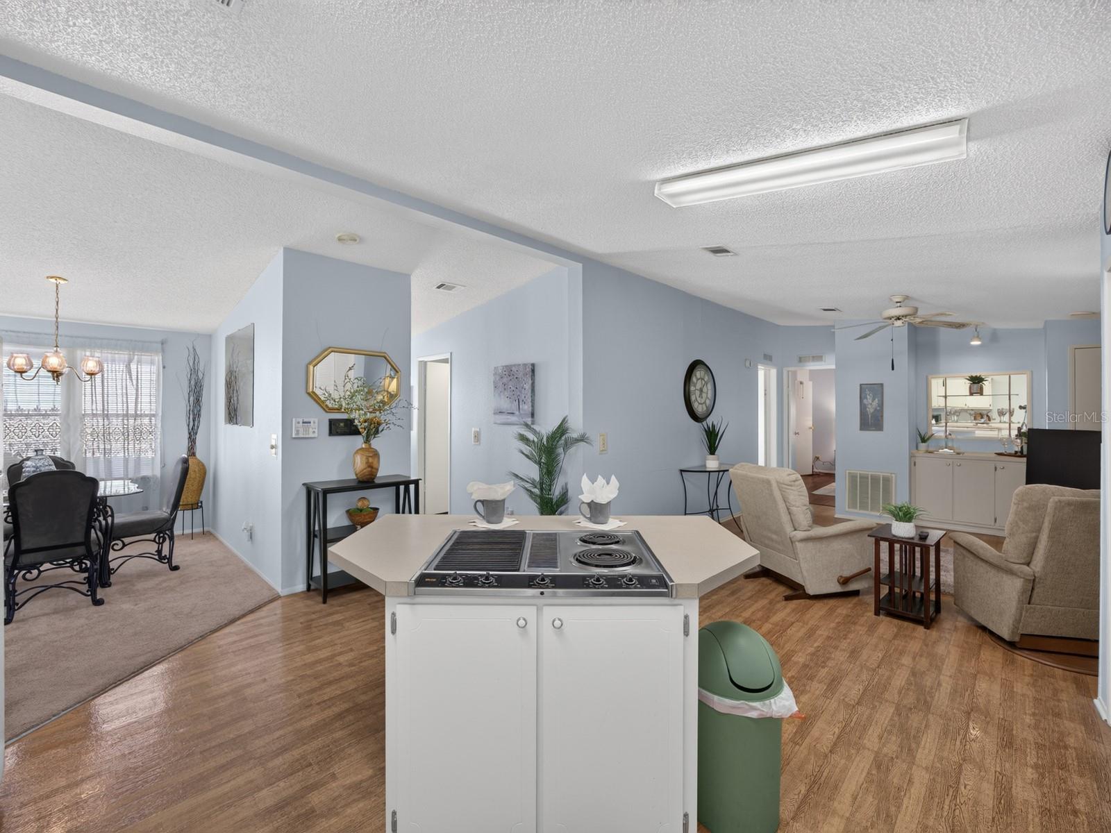 660 RAINBOW BOULEVARD, The Villages, FL 32159