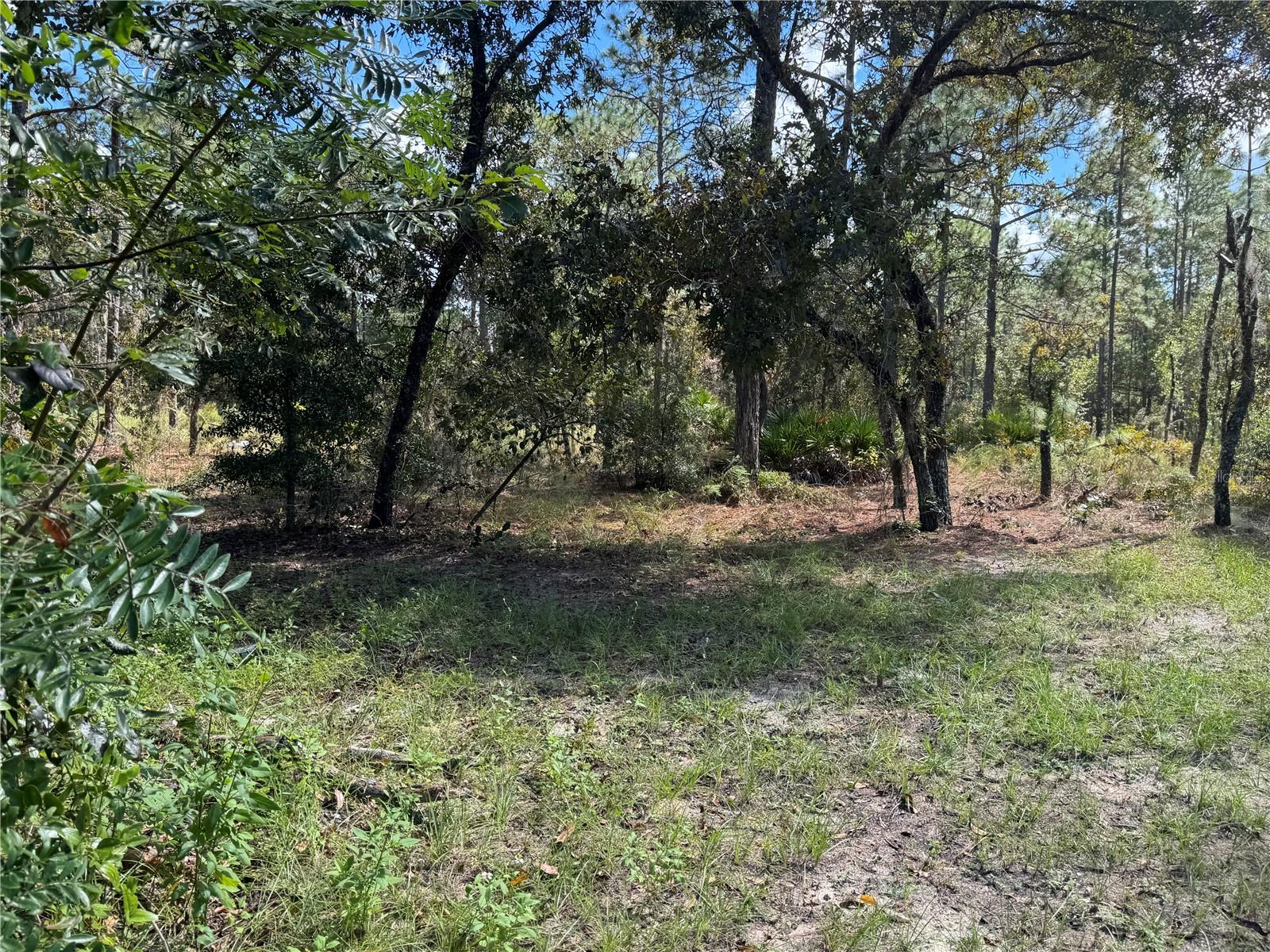 2615 SW 157TH COURT, Ocala, FL 34481