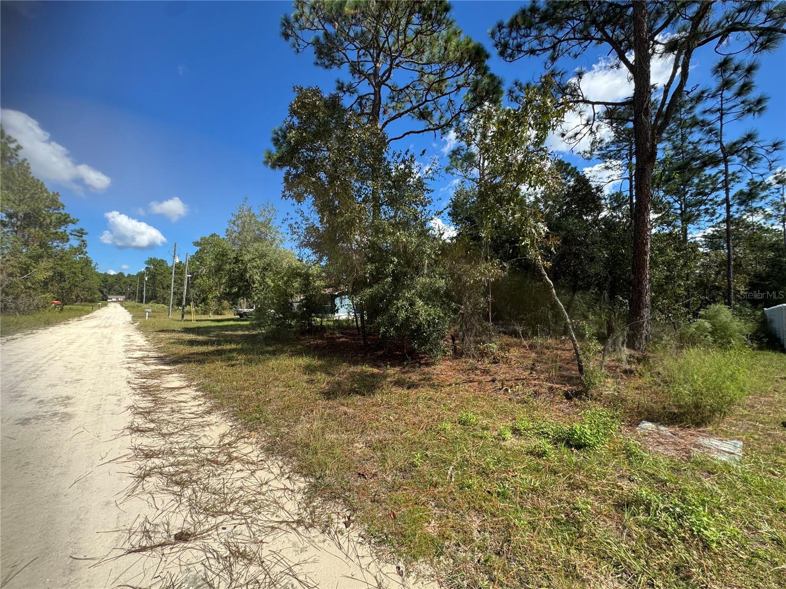 2615 SW 157TH COURT, Ocala, FL 34481