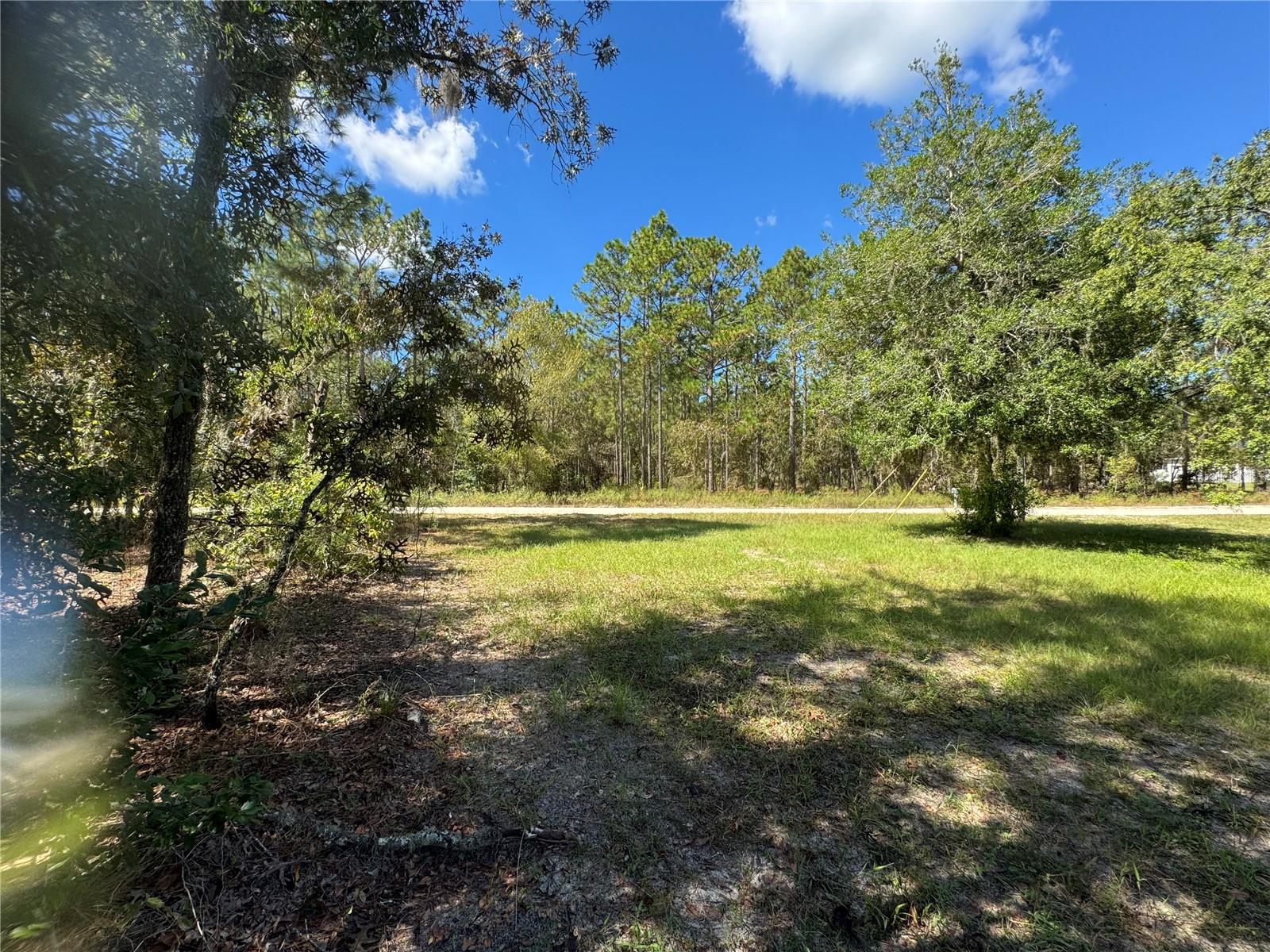 2615 SW 157TH COURT, Ocala, FL 34481