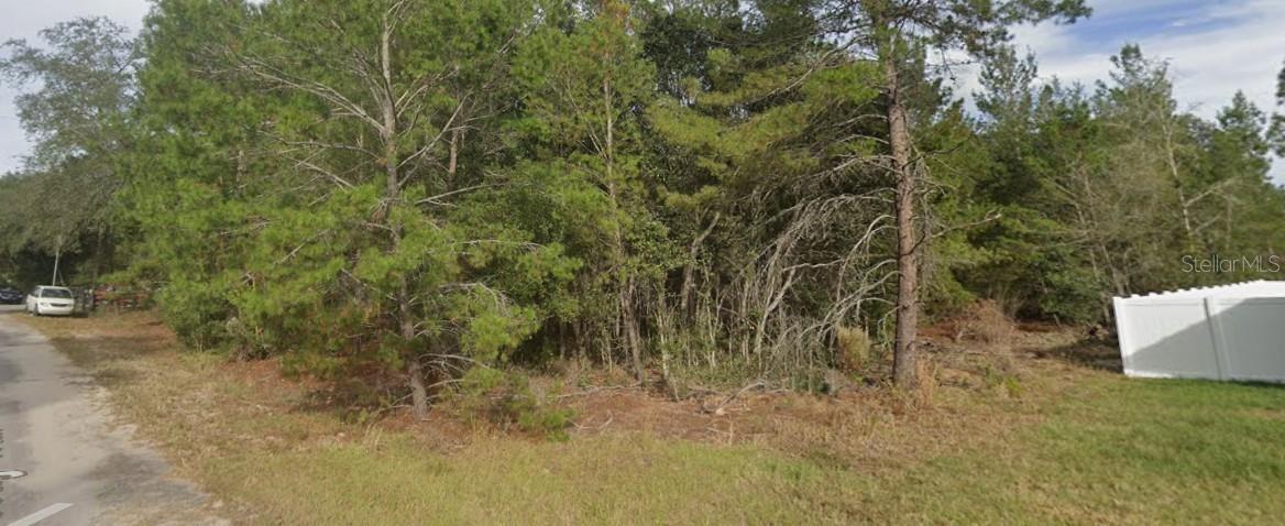 FISHER WAY TRAIL, Ocklawaha, FL 32179
