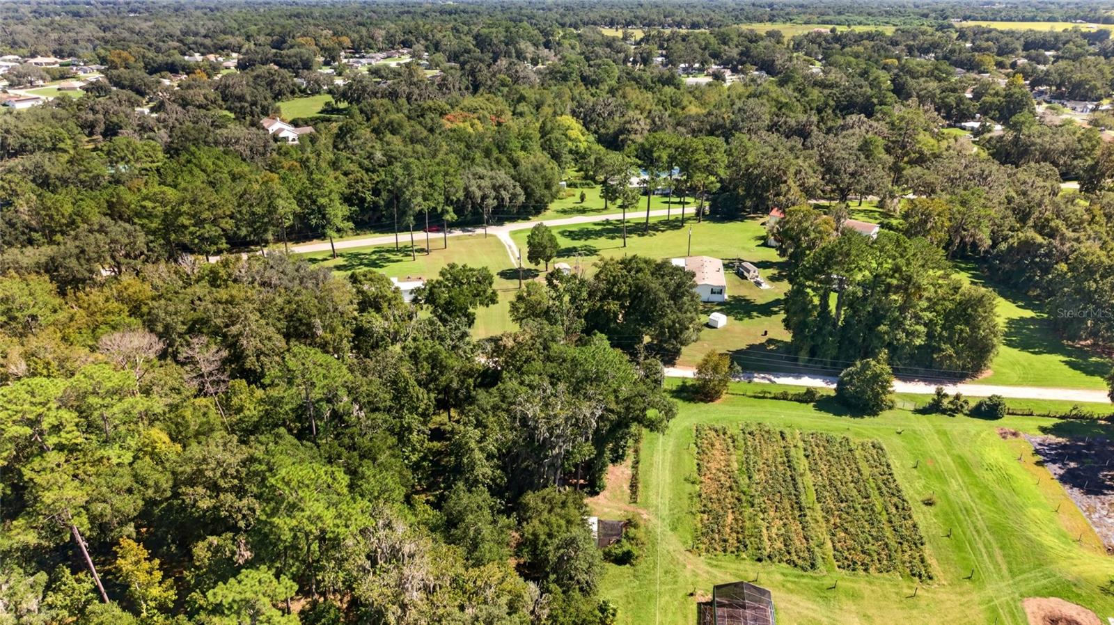 12426 SE 55TH AVENUE ROAD, Belleview, FL 34420