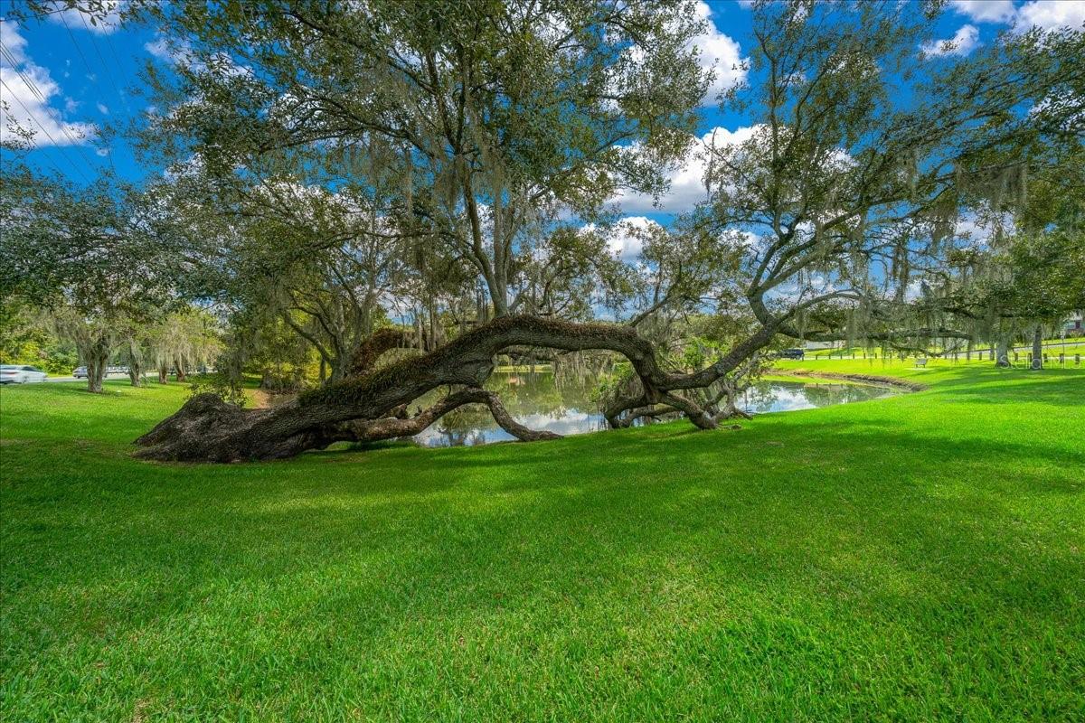 1335 SE 18TH STREET, Ocala, FL 34471