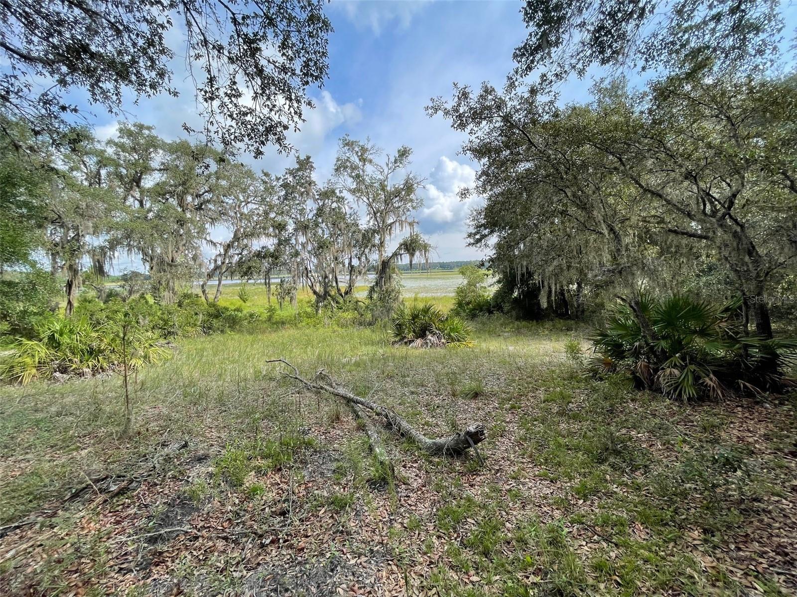 LOTS 462 & 463 SW SHOREWOOD DRIVE, Dunnellon, FL 34431