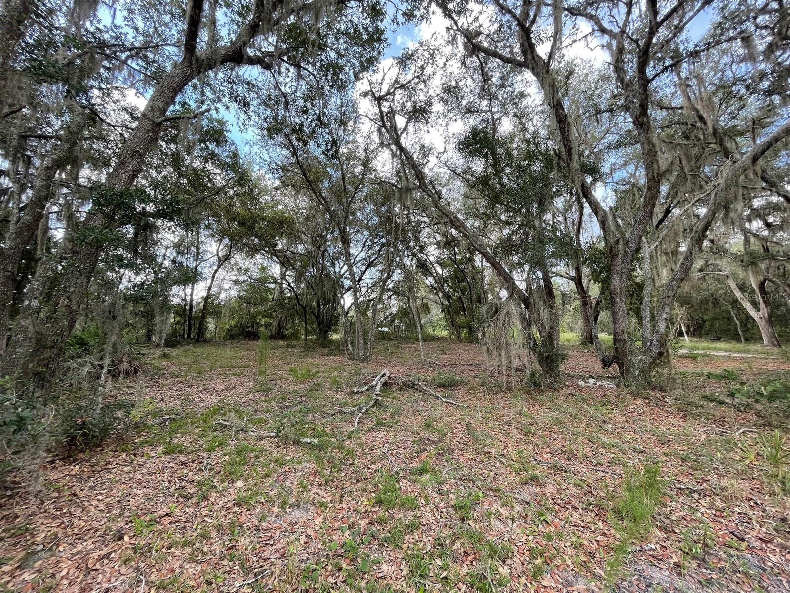 LOTS 462 & 463 SW SHOREWOOD DRIVE, Dunnellon, FL 34431