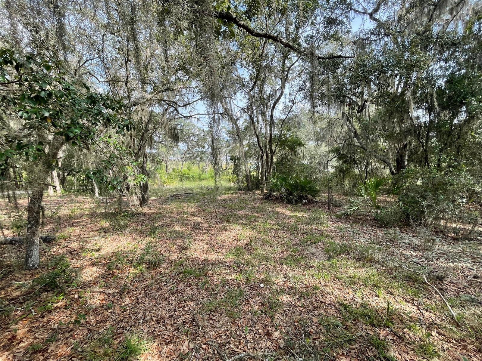 LOTS 462 & 463 SW SHOREWOOD DRIVE, Dunnellon, FL 34431
