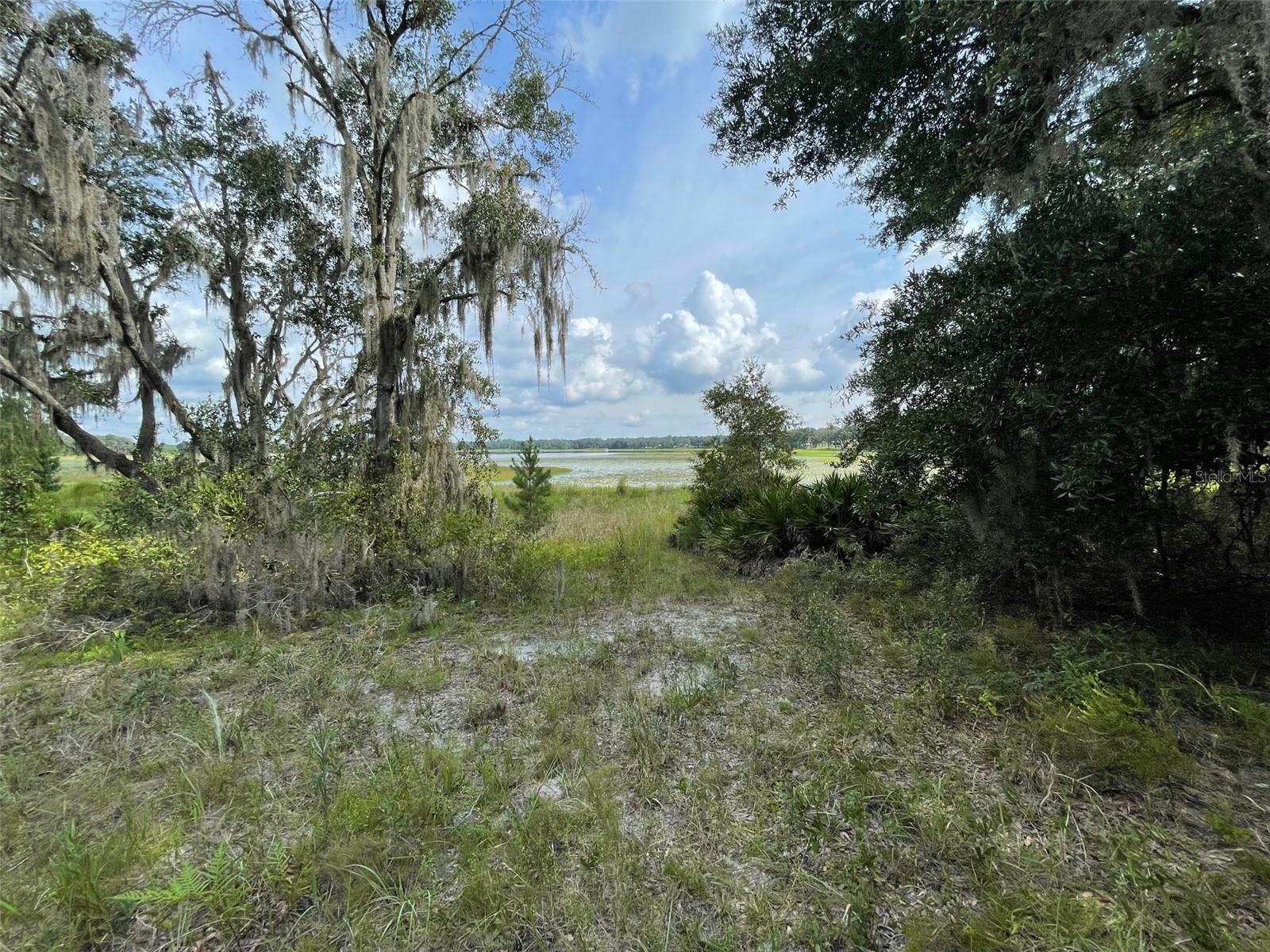 LOTS 462 & 463 SW SHOREWOOD DRIVE, Dunnellon, FL 34431