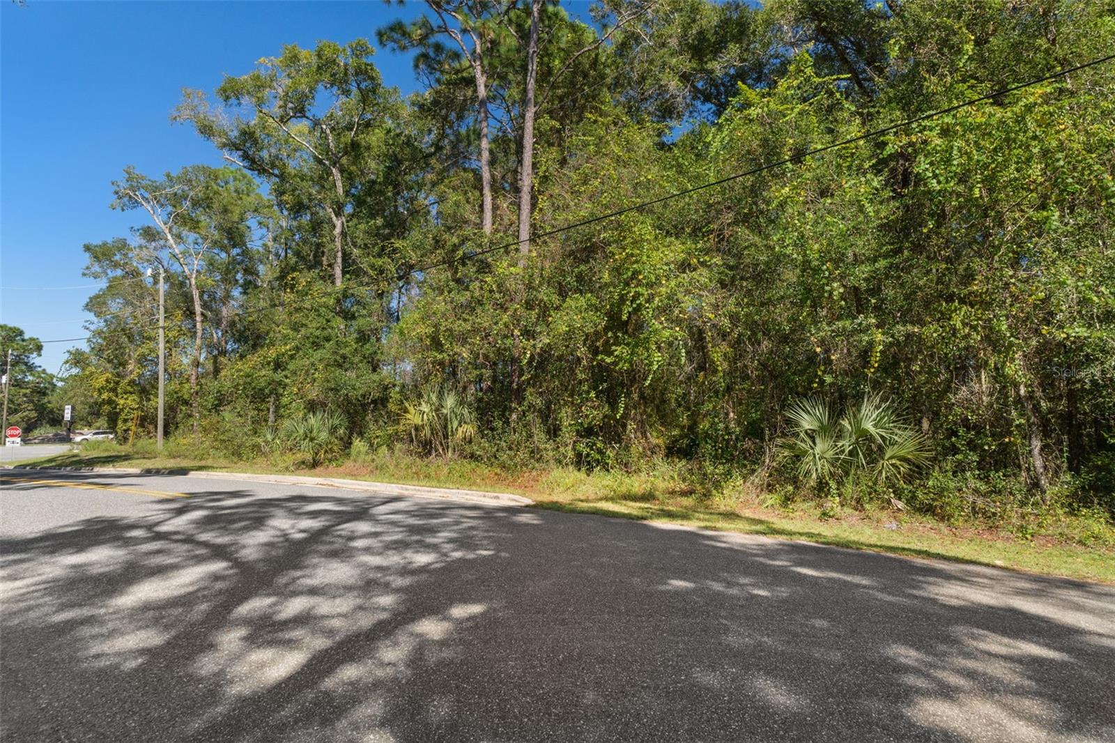 2798 W NORVELL BRYANT HIGHWAY, Lecanto, FL 34461