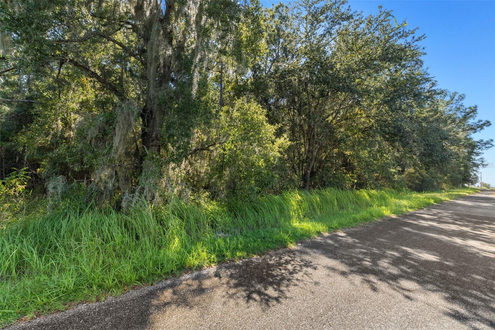 2798 W NORVELL BRYANT HIGHWAY, Lecanto, FL 34461