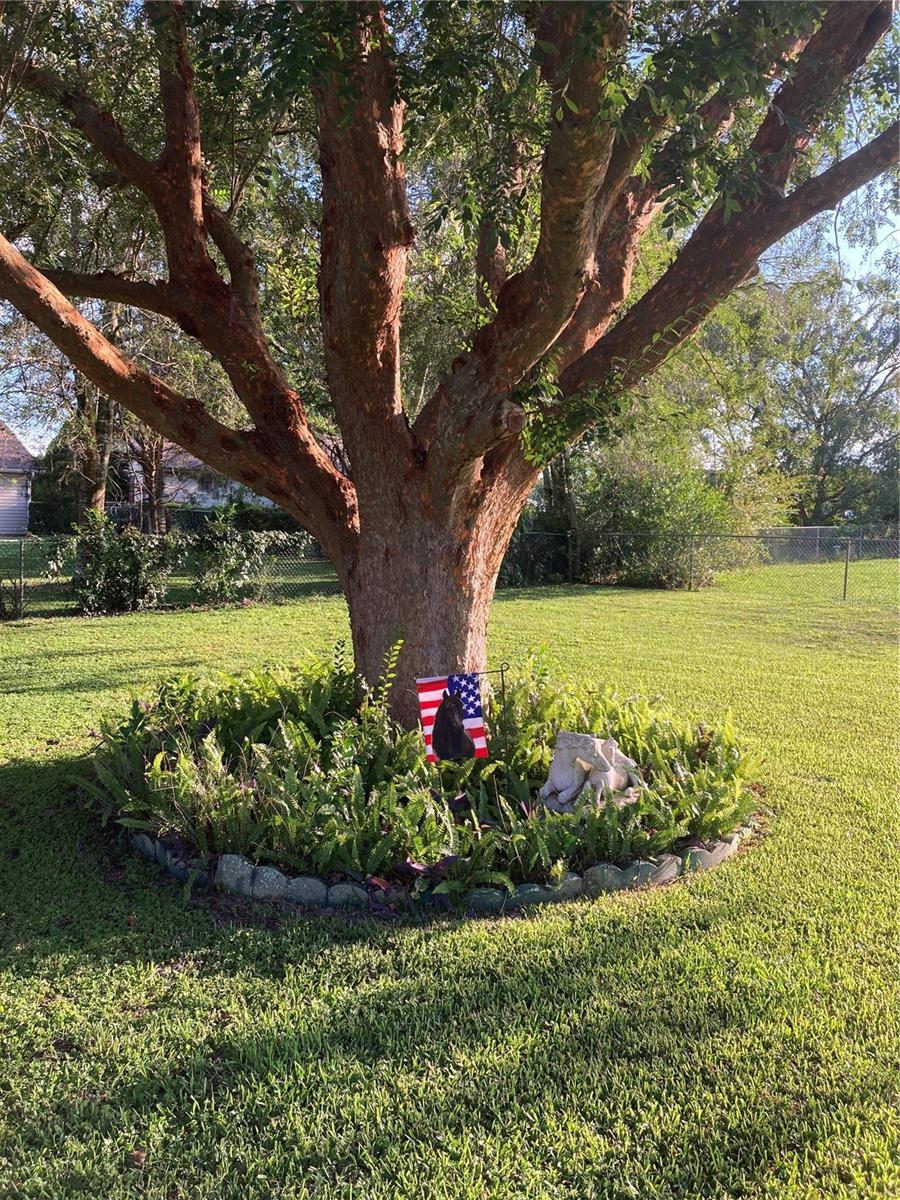 4470 NW 32ND STREET, Ocala, FL 34482