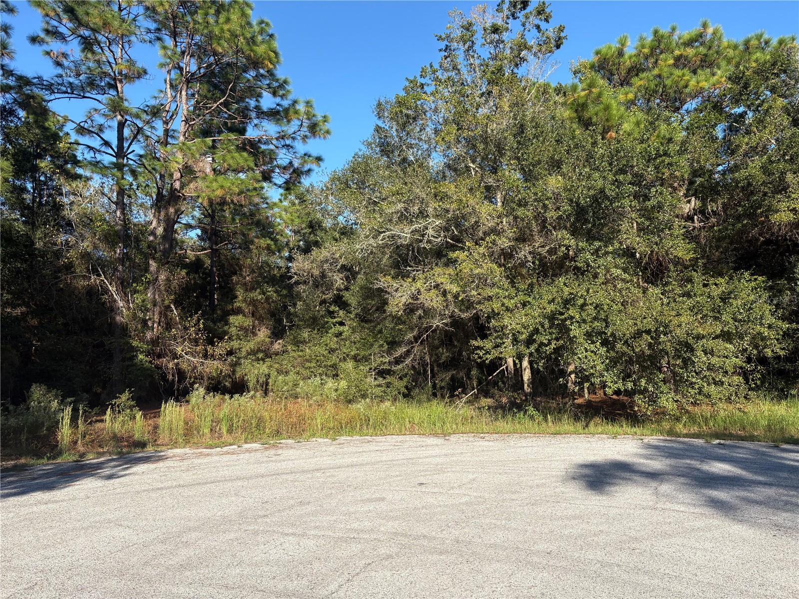 1742 W MESA VERDE DRIVE, Beverly Hills, FL 34465